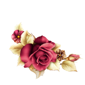 Flower PNG – Beautiful & Colorful Transparent Images Download 20