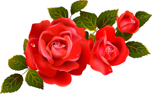 Flower PNG Transparent Images Download 2