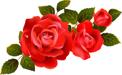 Flower PNG Transparent Images Download