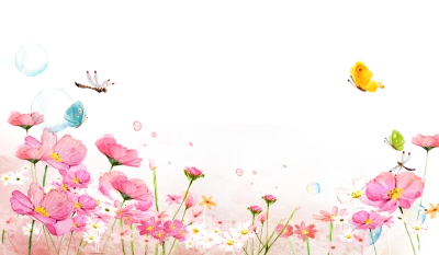 Flower PNG Transparent Images Download