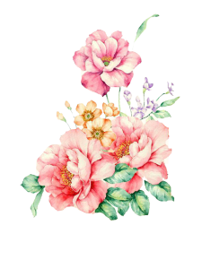 Flower PNG Transparent Images Download 7