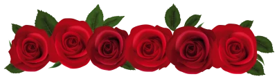 Flower PNG Transparent Images Download