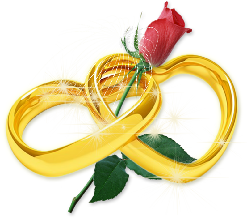 Flower PNG Transparent Images Download