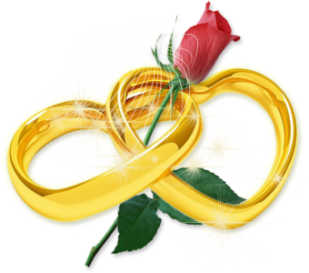 Flower PNG Transparent Images Download 14