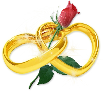 Flower PNG Transparent Images Download