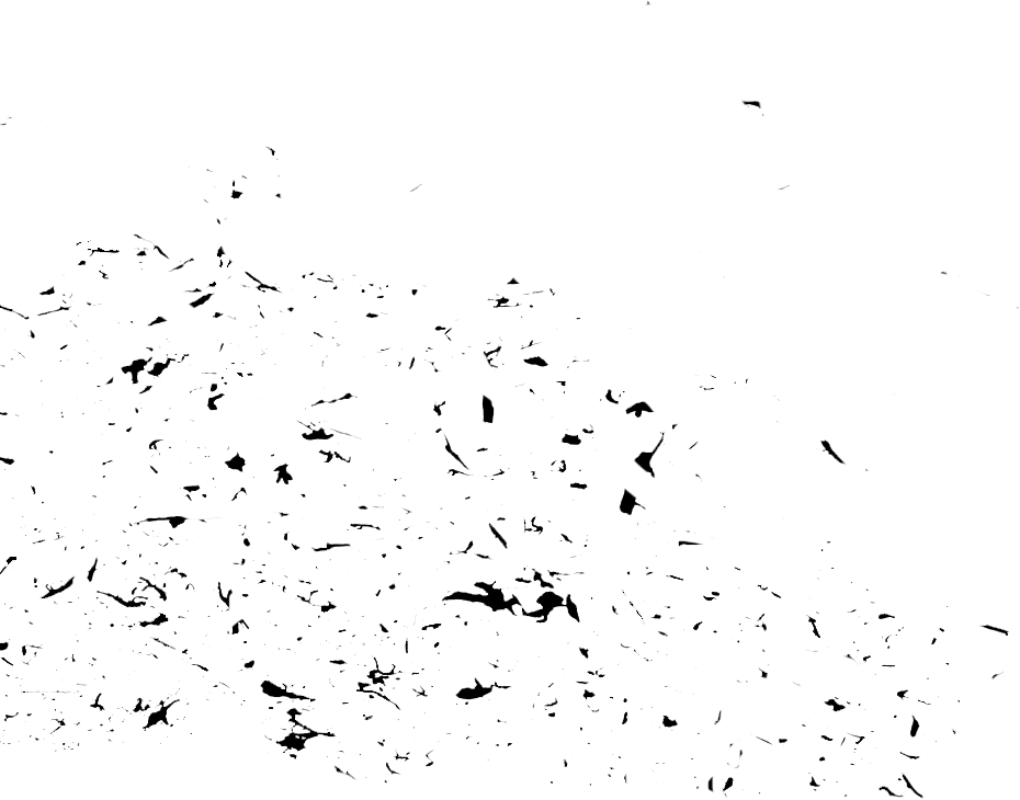 Black Dust and Scratches Texture Free Download