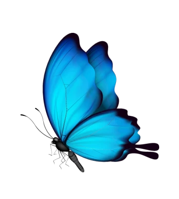 Realistic Blue Butterfly Transparent Background