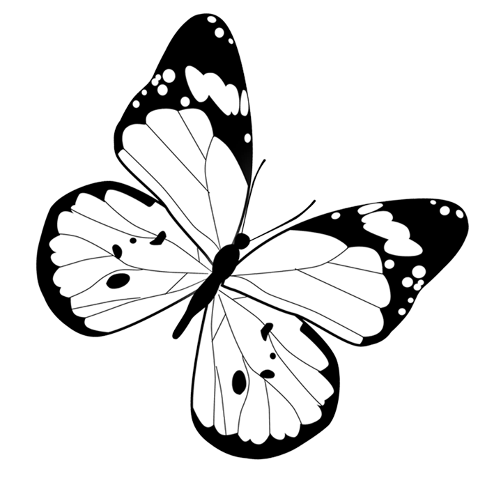 Black and White Butterfly Clipart
