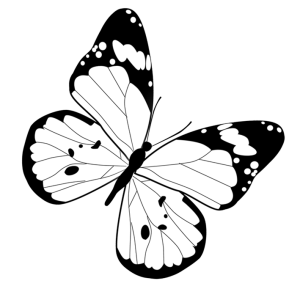 Black and White Butterfly Clipart