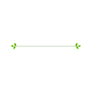 Green Leaf Divider Line PNG Image