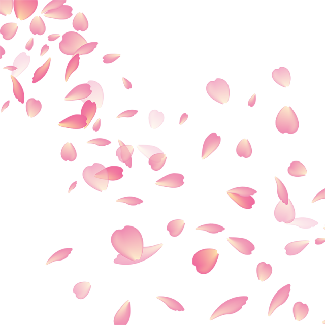 Pink Cherry Blossom Petals Falling
