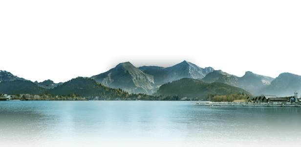 Howling Wolf Illustration Free PNG