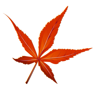 Men Shaving Razor Transparent Background