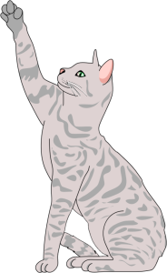 Gamora Marvel Fanart Free Download PNG