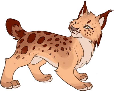 Cartoon Lynx Bobcat Illustration Free PNG
