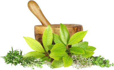 Mortar Pestle Herbs Free PNG