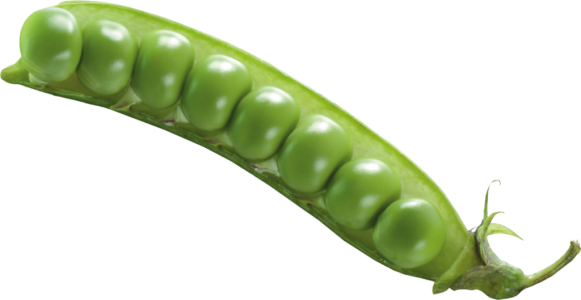 Green Peas Pod Free PNG
