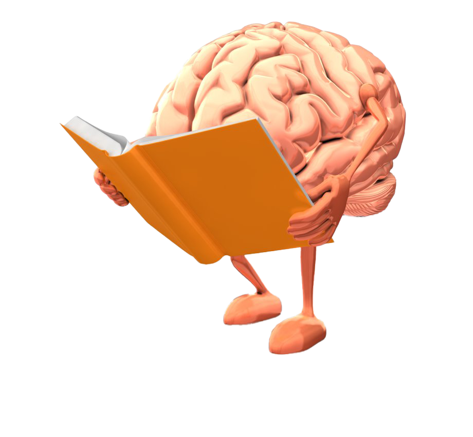 Smart 3D Brain Character Reading a Book PNG Image