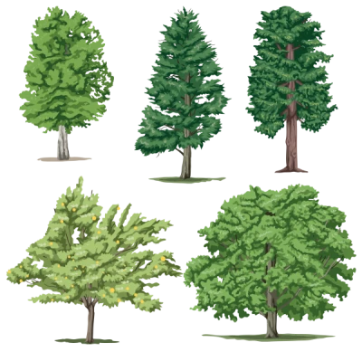 Five Green Trees Collection Free PNG