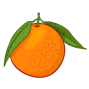 Fresh Orange Fruit Clipart Free PNG