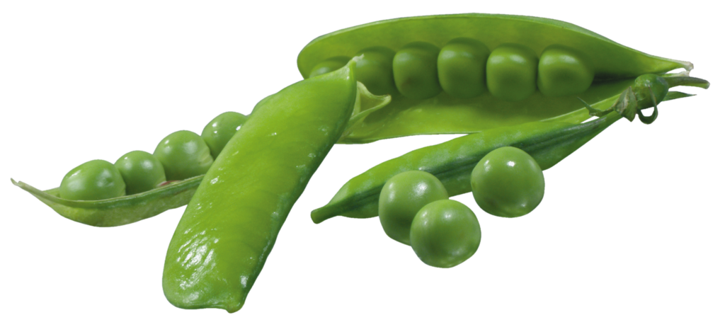 Fresh Green Peas Pod Transparent Background
