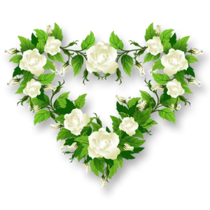 Red Rose Heart Shape Transparent Background