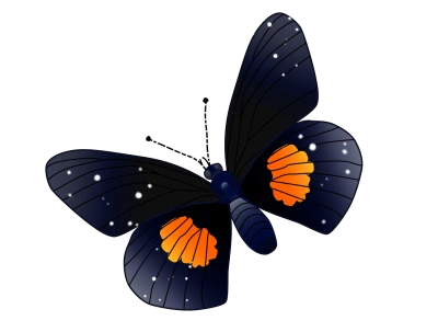 Black and Orange Butterfly Transparent Background