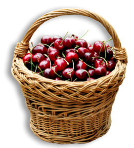 Wicker Basket Full of Fresh Cherries Free PNG