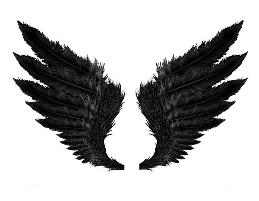 Dark Black Feather Wings Free PNG