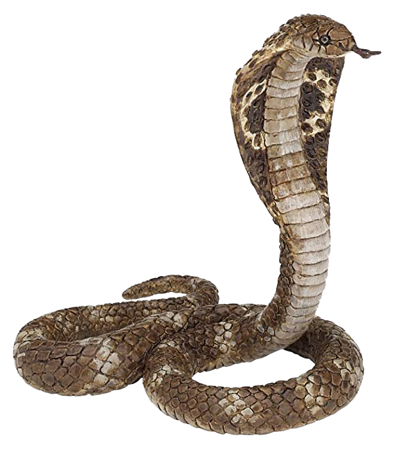King Cobra Snake Figure Clipart