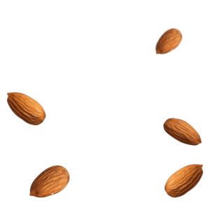 Dry Fruits PNG – Healthy & Nutritious Transparent Images Download 2