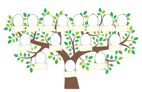 Blank Family Tree With Frames Clipart