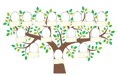 Blank Family Tree With Frames Clipart