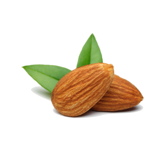 Dry Fruits PNG – Healthy & Nutritious Transparent Images Download 7
