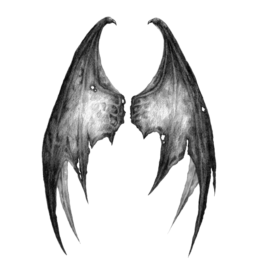 Demon Bat Wings Sketch Transparent Background