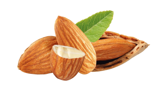 Dry Fruits PNG – Healthy & Nutritious Transparent Images Download 10