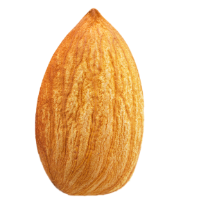 Dry Fruits PNG – Healthy & Nutritious Transparent Images Download 11