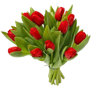 Red Tulips Bouquet Flowers Transparent Background