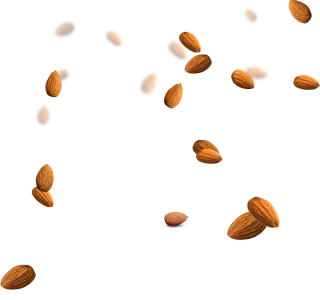 Dry Fruits PNG – Healthy & Nutritious Transparent Images Download 14
