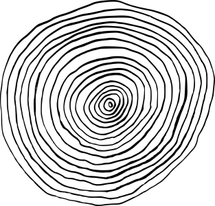 Wood Tree Rings Texture Free PNG