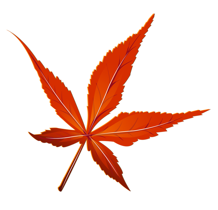 Autumn Red Maple Leaf Clipart