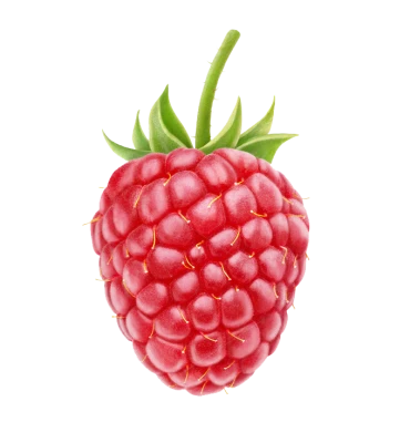 Fresh Red Raspberry PNG Image
