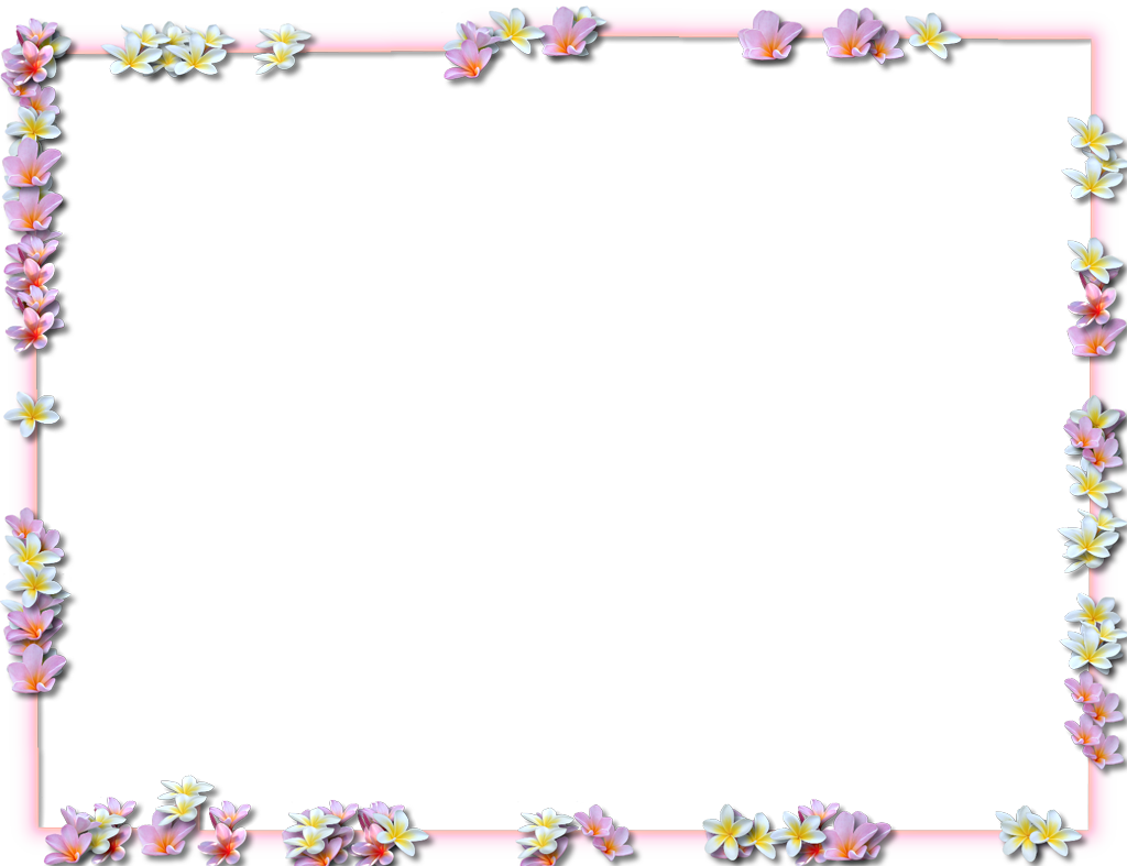 Floral Flower Frame Border Clipart