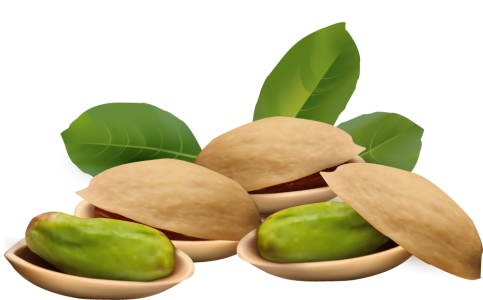 Dry Fruits PNG – Healthy & Nutritious Transparent Images FREE Download 2