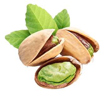 Dry Fruits PNG – Healthy & Nutritious Transparent Images FREE Download 3