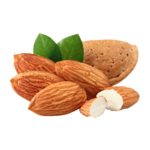Dry Fruits PNG – Healthy & Nutritious Transparent Images FREE Download 4