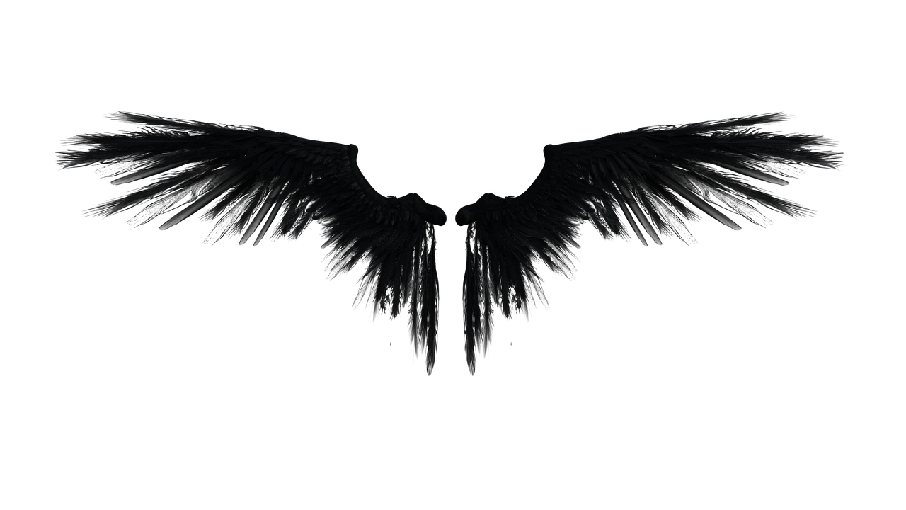 Dark Black Angel Wings Clipart