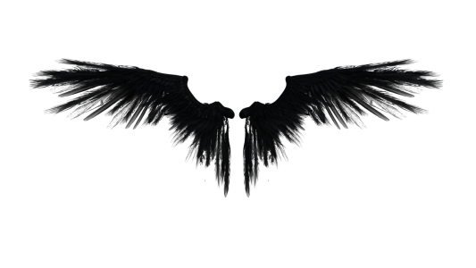 Dark Black Angel Wings Clipart