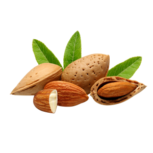 Dry Fruits PNG – Healthy & Nutritious Transparent Images FREE Download 5