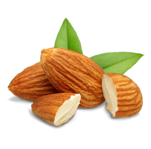Dry Fruits PNG – Healthy & Nutritious Transparent Images FREE Download 6